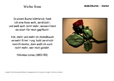 Welke-Rose-Lenau.pdf